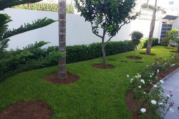 creation of gardens in Marrakech