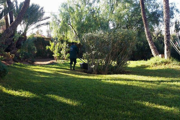 Garden maintenance in Marrakech and everywhere in Morocco