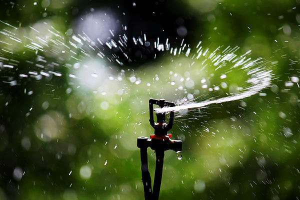 Automatic watering of gardens in Marrakech, Rabat, Casablanca